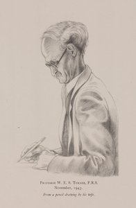 Profesor W E S Turner, listopad autorstwa Frederick (attr. to) Barnard