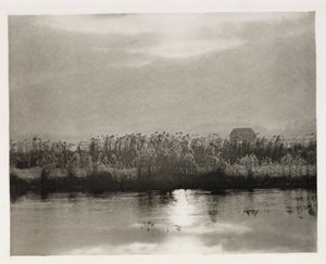 „Kryształy szronu” autorstwa Frederick (attr. to) Barnard