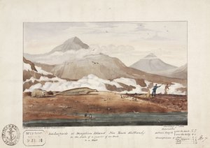 „Leopardy morskie na wyspie Deception, Nowe Szetlandy Południowe”, 7 stycznia autorstwa John Pardon