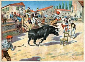 Byki w Camargue. Walki byków w Camargue. autorstwa John Pardon