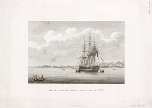 „Coquille” w Pointe Venus, wyspa Tahiti autorstwa Frederick (attr. to) Barnard