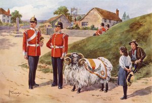 Derby Tom, baran z Sherwood Foresters