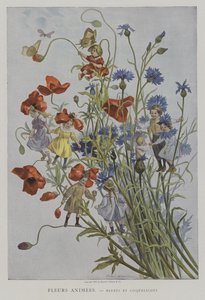 Fleurs Animees. Bleuets i Coquelicots. (Animowane kwiaty: chabry i maki)