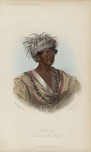 Tuch-ee, wódz wojenny Cherokee (akwatinta)