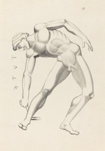 Tydeusz autorstwa after John Flaxman