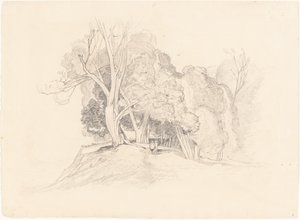 Krajobraz z drzewami autorstwa after John Sell Cotman British 19th Century