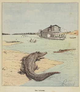 Aligatory autorstwa after Louis Charles Bombled
