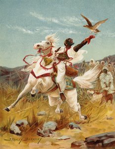 Hawking w Maroku (chromolitho)