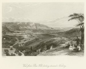 Widok z Box Hill, w kierunku Norbury