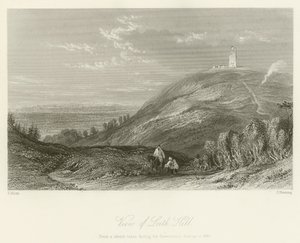 Widok na Leith Hill