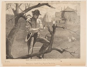 Wiosenna praca na farmie – szczepienie autorstwa Winslow Homer