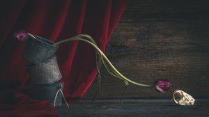 Ciemna kwiatowa czaszka autorstwa alan shapiro