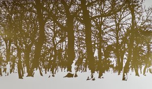 Drzewa życia, 2017, tłoczona na gorąco rolka liści na papierze autorstwa angus hampel