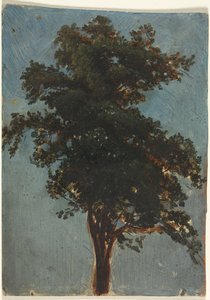 Badanie drzewa autorstwa attributed to Alexandre Calame