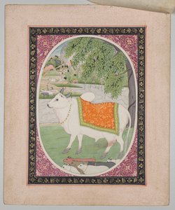Byk, z serii Mandi Astrologia autorstwa attributed to Sanju