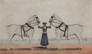 Syce pan młody trzymający dwa konie zaprzęgowe, ca. 1845. autorstwa attributed to Shaikh Muhammad Amir of