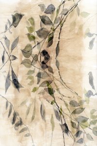 Eteryczny botaniczny strumień autorstwa cartissi