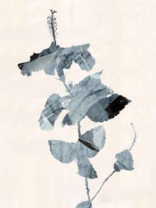 Abstrakcja z motywem kwiatu hibiskusa autorstwa cartissi