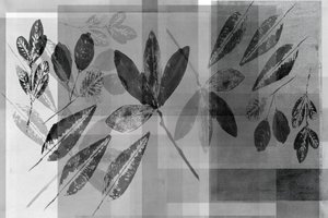 Monochromatyczne warstwy motywów roślinnych autorstwa cartissi