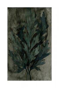 Liście w stylu botanicznym autorstwa cartissi