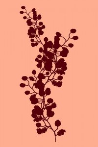 Botaniczna sylwetka brzoskwini autorstwa cartissi