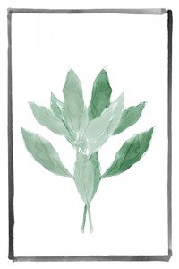 Delikatna zieleń w stylu botanicznym autorstwa cartissi