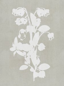 Białe kwiaty w stylu botanicznym autorstwa cartissi