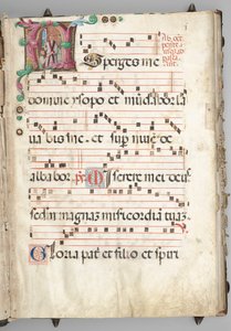 Stopniowy autorstwa circle of Girolamo dai Libri