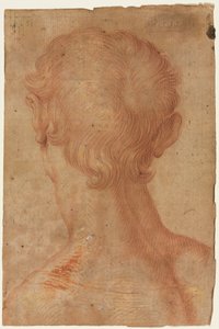 Głowa mężczyzny od tyłu autorstwa copy after Agnolo Bronzino