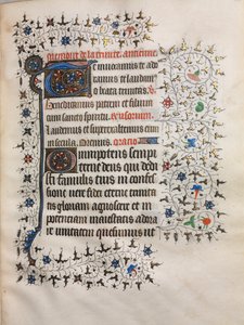 Book of Hours (Użycie Paryża): zdobione inicjały