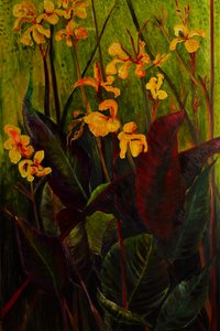 Canna Lily, 2017 (olej na płótnie)