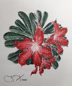KWIAT PUSTYNI autorstwa miguelmendez_art.ve