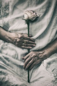 Delikatne dłonie trzymają różę autorstwa nima.zadshir
