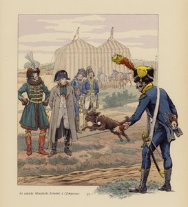Pies Moustache przedstawiony Napoleonowi (kolorowa litografia) autorstwa pseudonym for Onfray de Breville Jacques Job