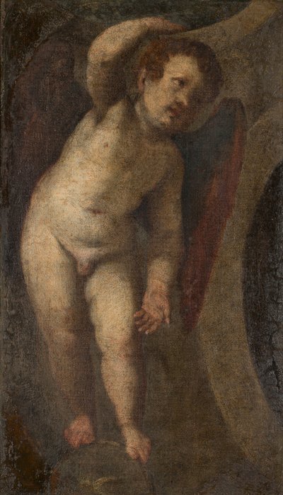 Stałe Putto, ok. 1548-88 (olej na płótnie) autorstwa Veronese