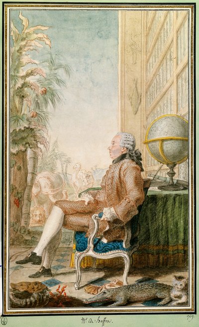 Portret Georgesa-Louisa Leclerca, hrabiego Buffon (1707-1788), przyrodnika, zarządcy Jardin du Roi. Akwarela autorstwa Louisa Carrogisa Carmontelle (1717-1806). Chantilly. Muzeum Conde autorstwa Carmontelle