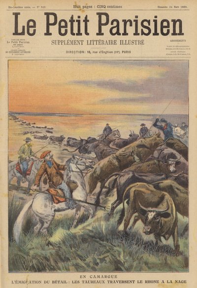 Wędrówki zwierząt gospodarskich w Camargue: stado byków płynących przez Rodan (kolor lito) autorstwa (after) Carrey