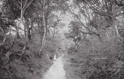 Fairlight Glen (zdjęcie czarno-białe) autorstwa (after) English photographer