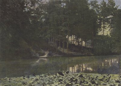 Lasek Buloński, Zalew (kolorowe zdjęcie) autorstwa (after) French Photographer