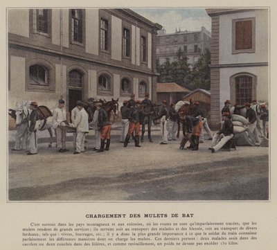 Ładowanie mułów nietoperza (kolorowe zdjęcie) autorstwa (after) French Photographer