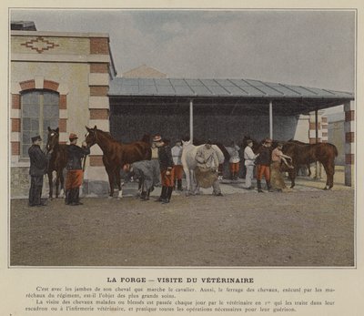 La Forge, Wizyta Weterynarza (kolorowe zdjęcie) autorstwa (after) French Photographer