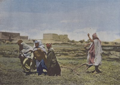 Orka w Kabylii (kolorowe zdjęcie) autorstwa (after) French Photographer