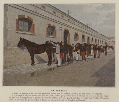 Pielęgnacja (kolorowe zdjęcie) autorstwa (after) French Photographer