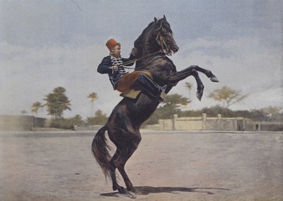 Nos Cavaliers (kolorowe zdjęcie) autorstwa (after) French Photographer