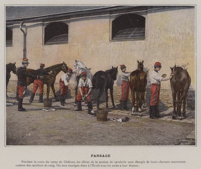 Pansage (kolorowe zdjęcie) autorstwa (after) French Photographer