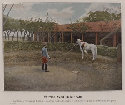 Sklepienie z Surcingle (kolorowe zdjęcie) autorstwa (after) French Photographer