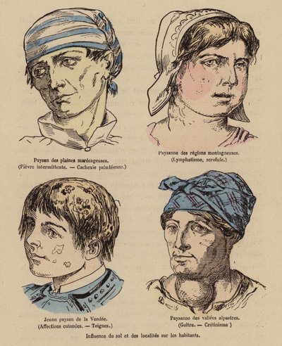 Wpływ Słońca i położenia geograficznego na ludzi (kolorowy grawerunek) autorstwa (after) French School