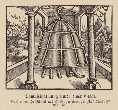 Wdychanie pary pod dzwonem (drzeworyt) autorstwa (after) German School