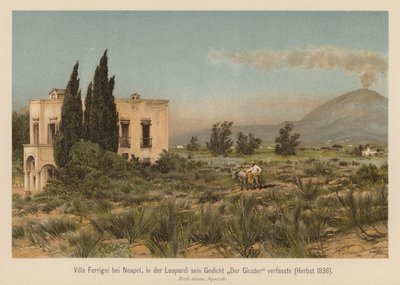 Villa Ferrigni, niedaleko Neapolu (kolorowa litografia) autorstwa (after) German School