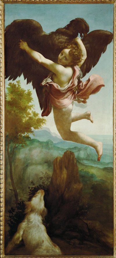 Porwanie Ganimeda (olej na płótnie) autorstwa (c.1489-1534) Correggio